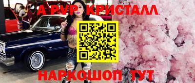 СК Волгодонск
