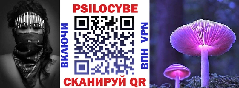 Псилоцибиновые грибы мицелий  наркотики  KRAKEN вход  Гагарин 