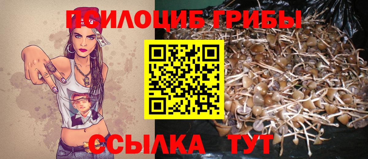 Псилоцибиновые грибы GOLDEN TEACHER  Вход с VPN  Галлюциногенные грибы Psilocybe  Гагарин 