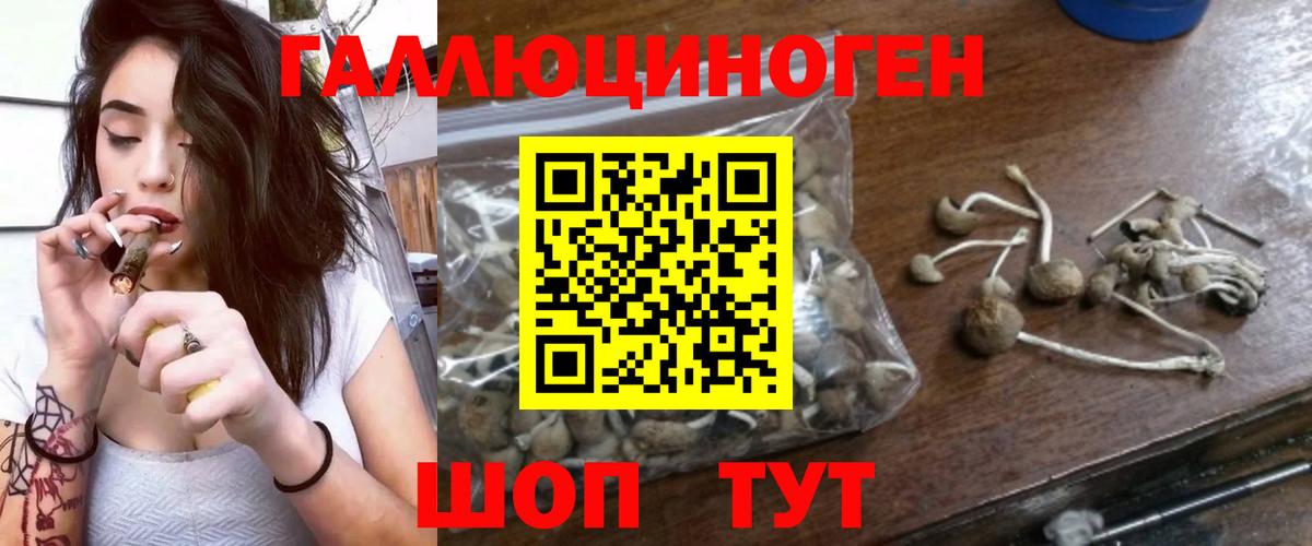 Псилоцибиновые грибы MAGIC MUSHROOMS  Гагарин 